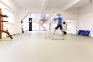 fighter fittness